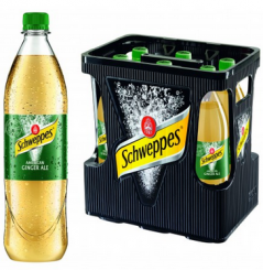 Schweppes Ginger Ale 6x1,0L 