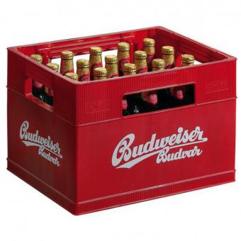 Budweiser 20x0,5L Ka. 